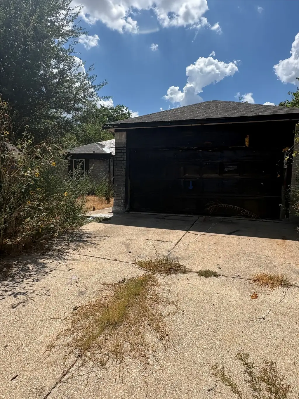 205 Barberry Drive, Georgetown