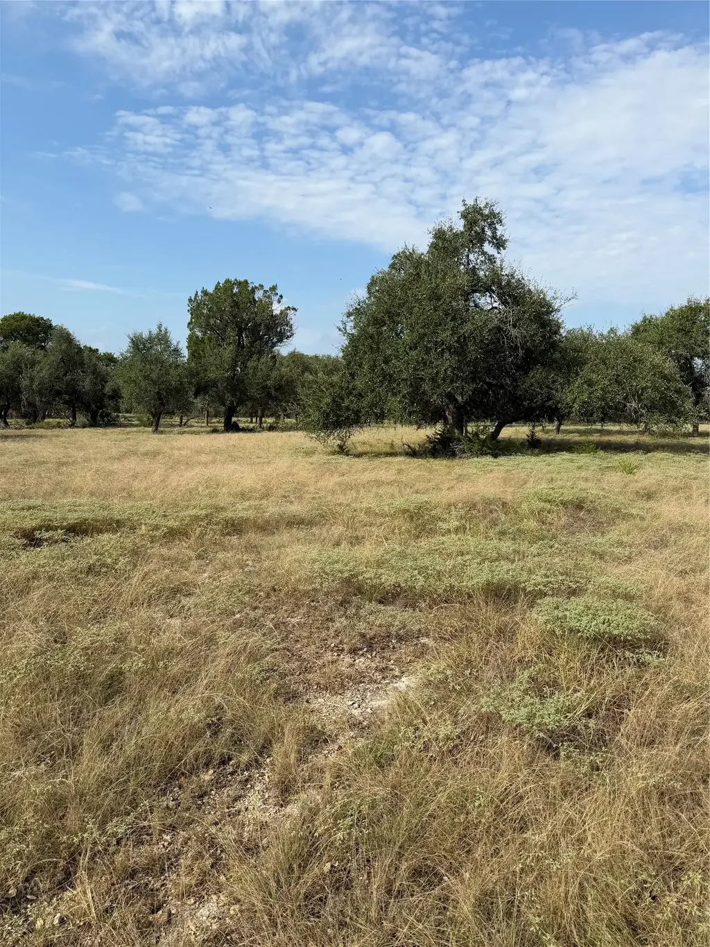 1911 Wayside Drive, Wimberley