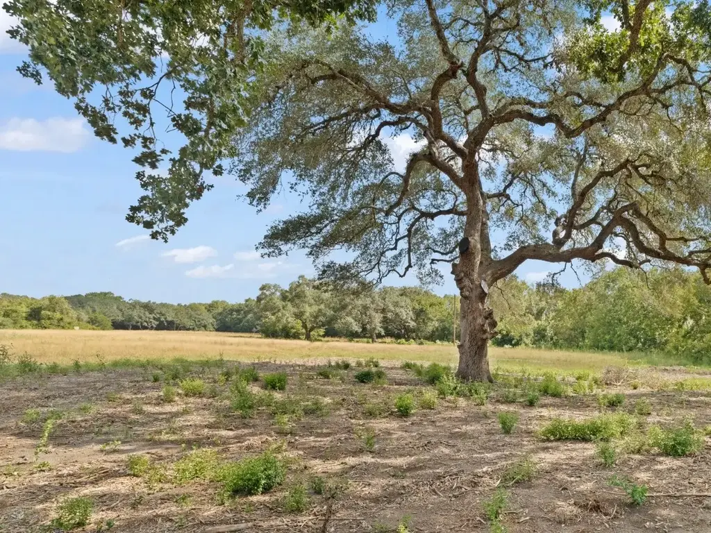 2763 Fm 956, Schulenburg
