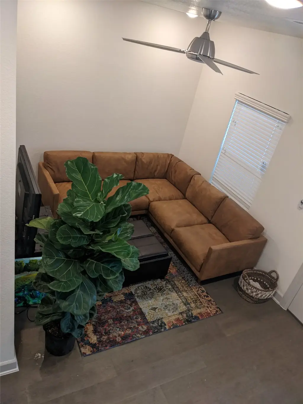 2105 Tiger Trail 202, Round Rock