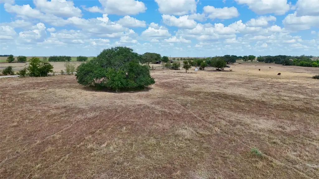 Tract 2 County Road 366, Shiner