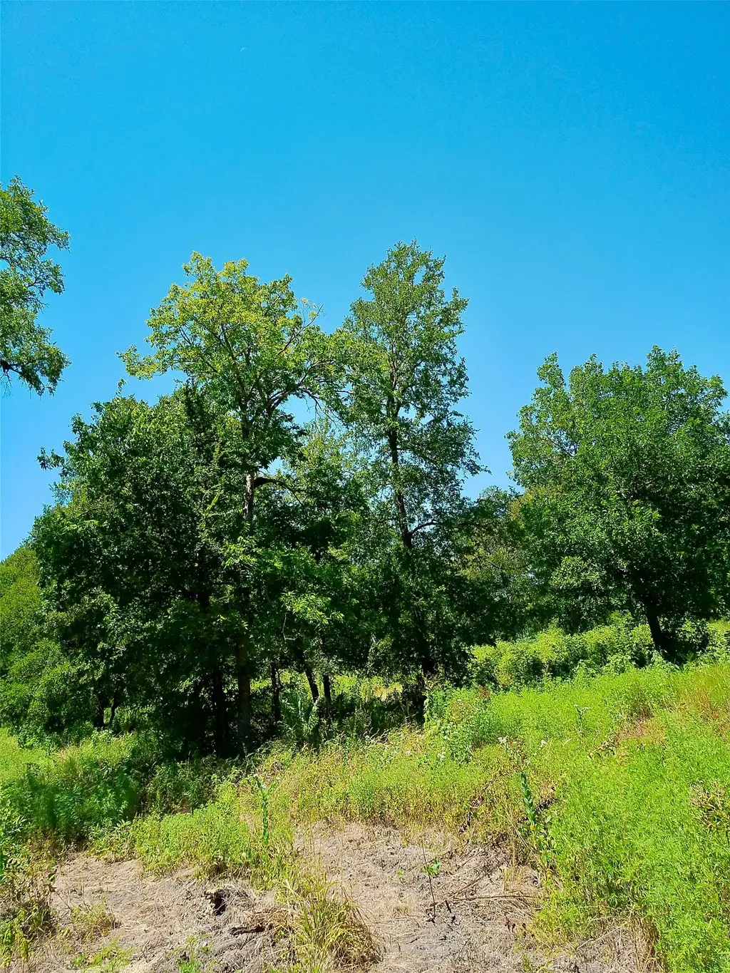Lot 22 Serenity Drive, Bertram