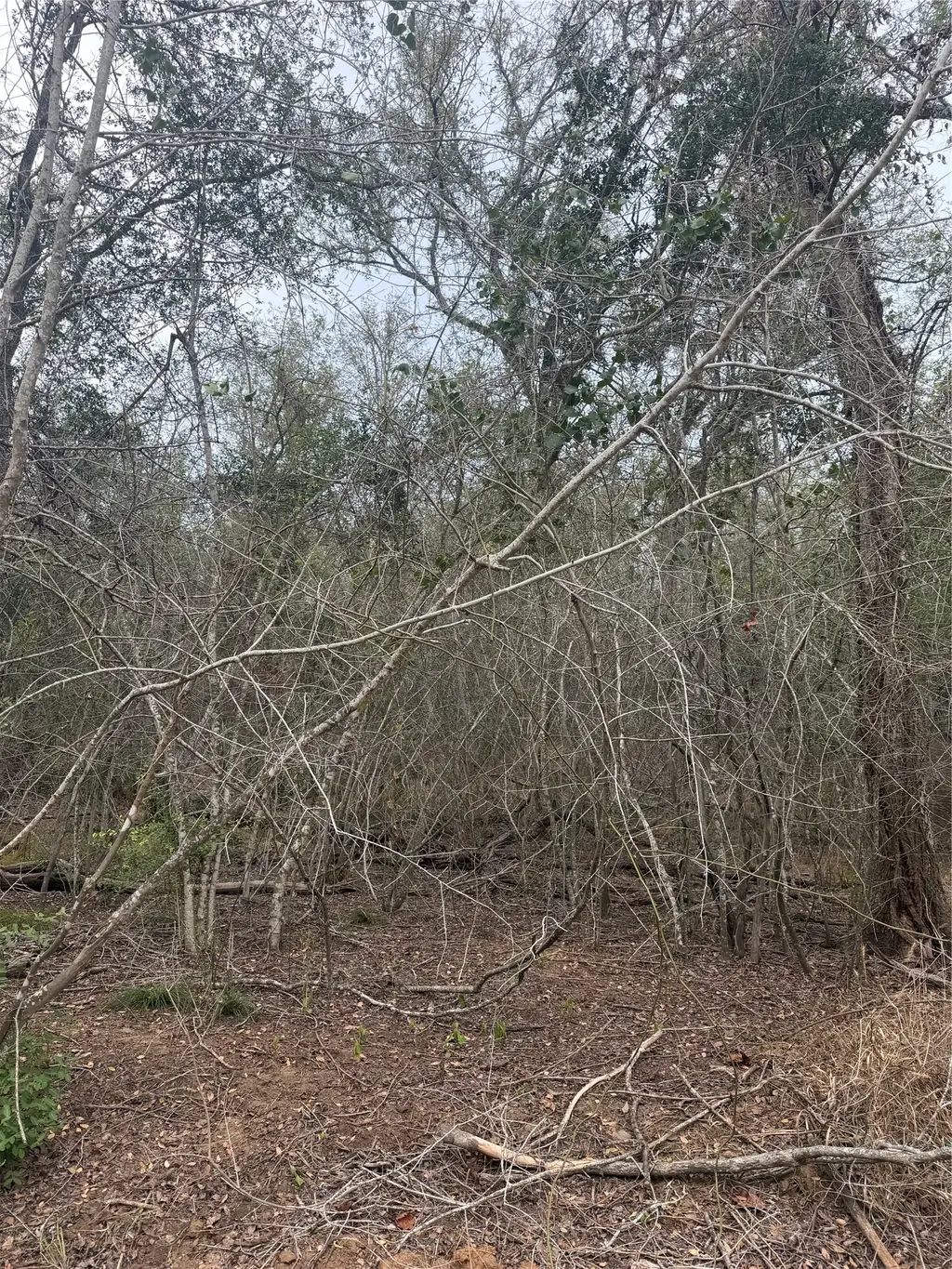 Lots 565 And 566 Mokulua Lane, Bastrop