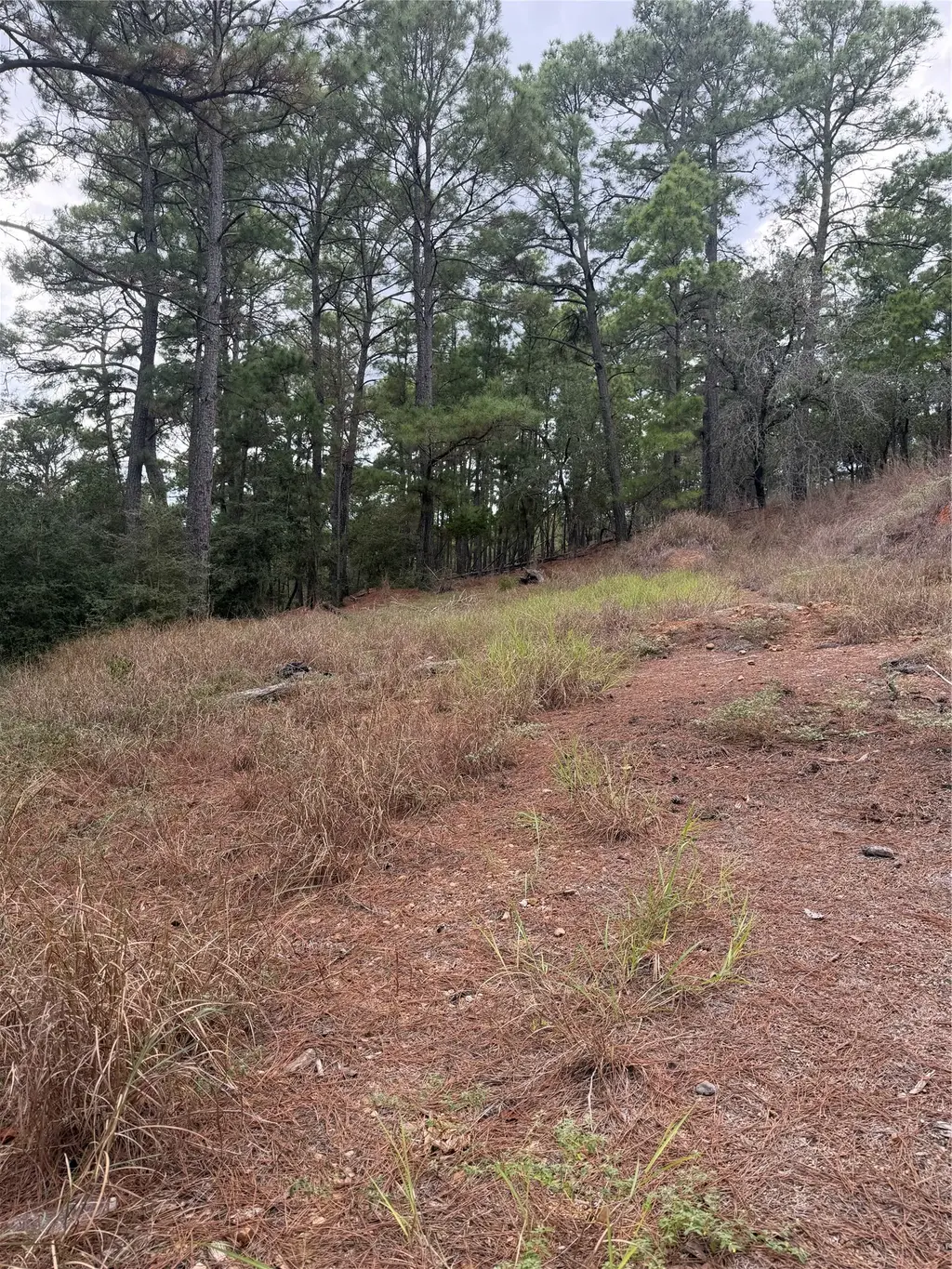 Lot 69 And 70 Taro Court, Bastrop
