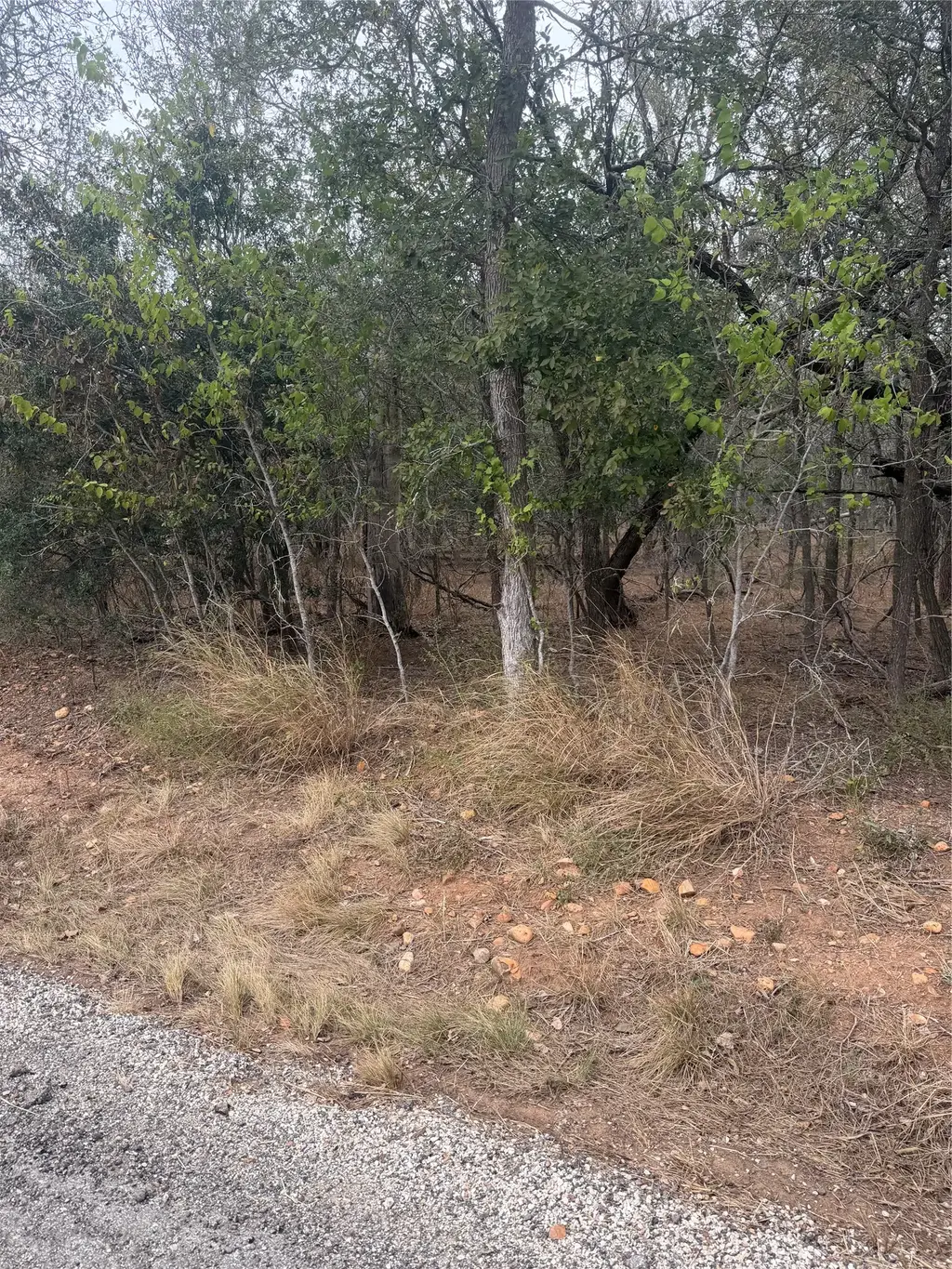 300 Riverside Drive, Bastrop