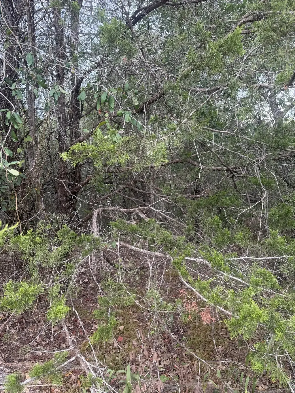 223 Mokulua Lane, Bastrop