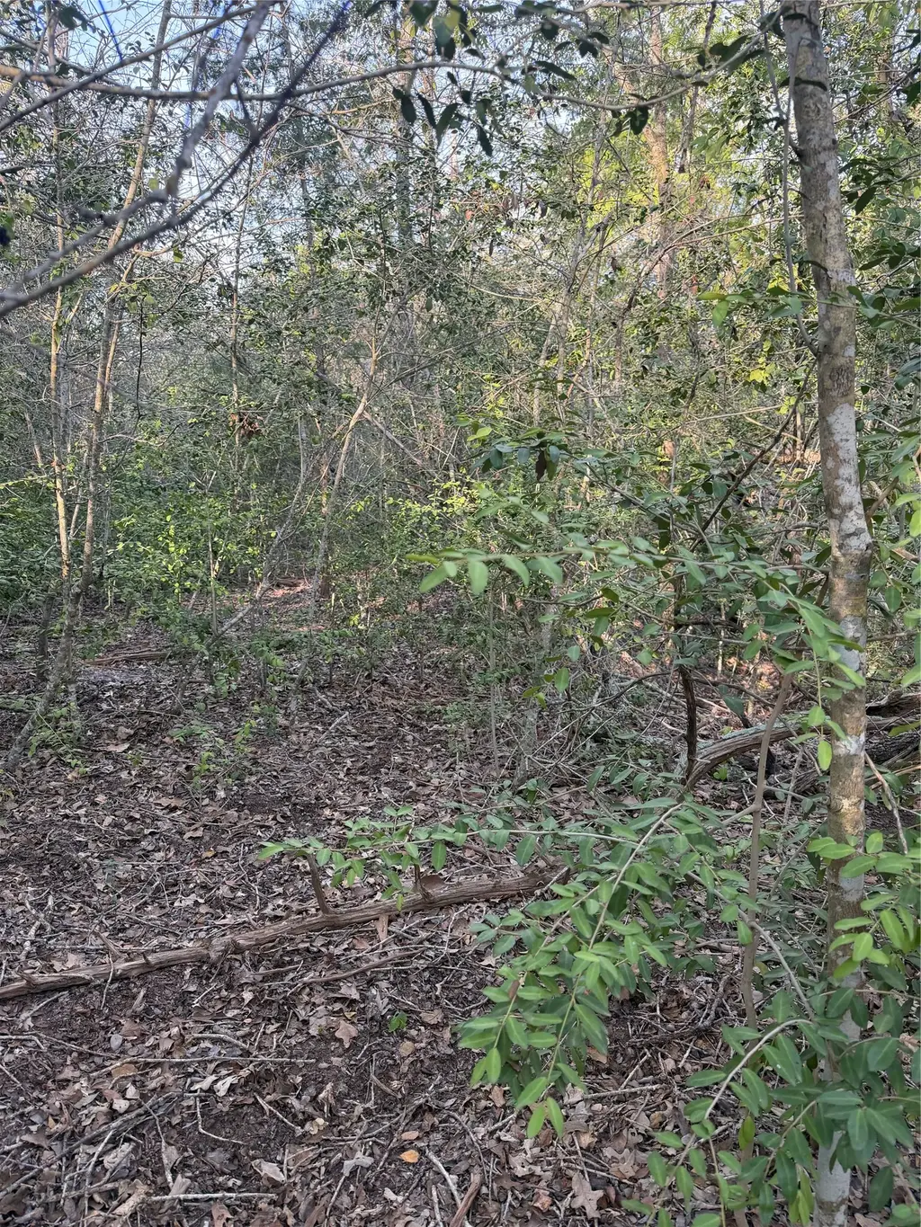Lot 607 Waimanalo Drive, Bastrop