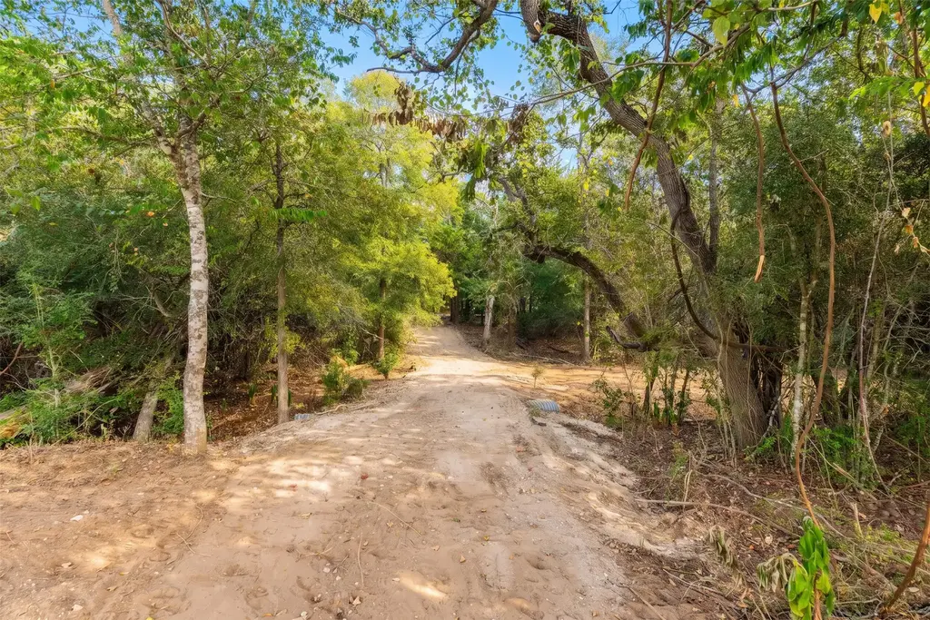 12 Acres Mt. Pleasant, Cedar Creek