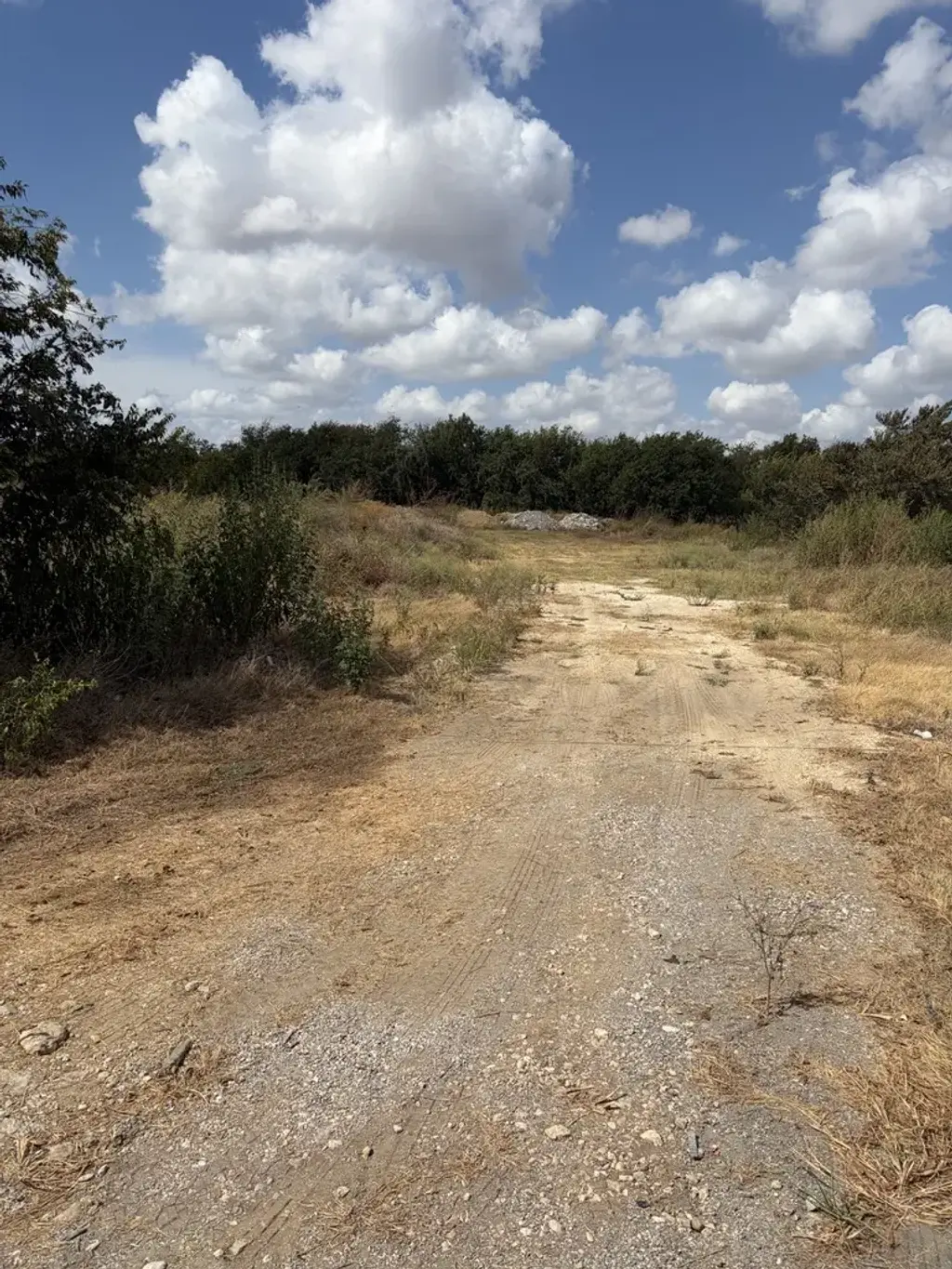 179 Evangeline Lane, Hutto