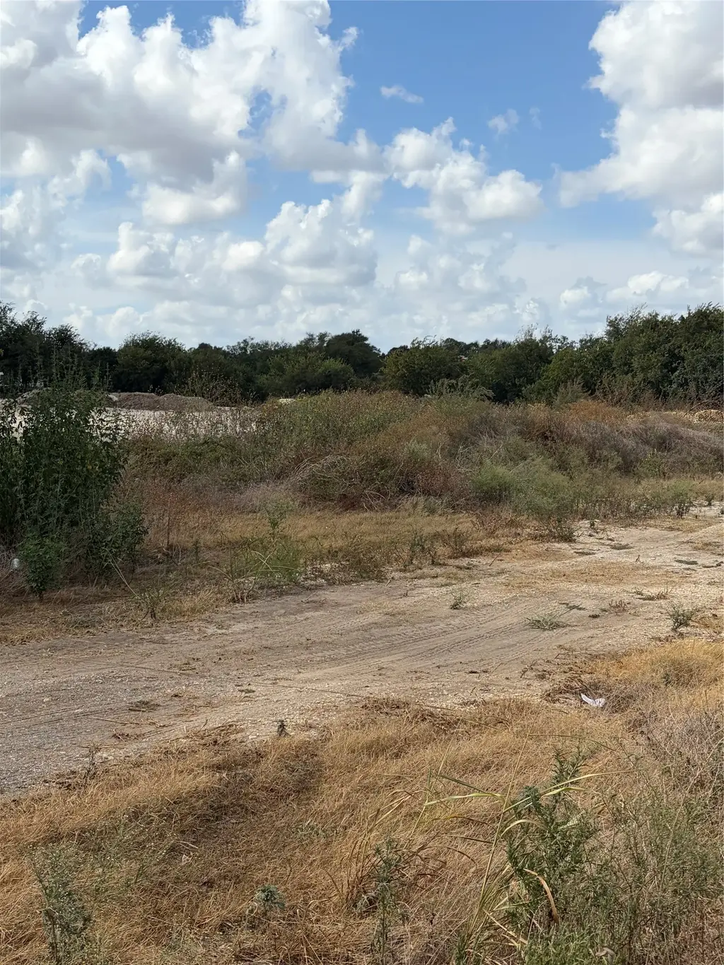 179 Evangeline Lane, Hutto