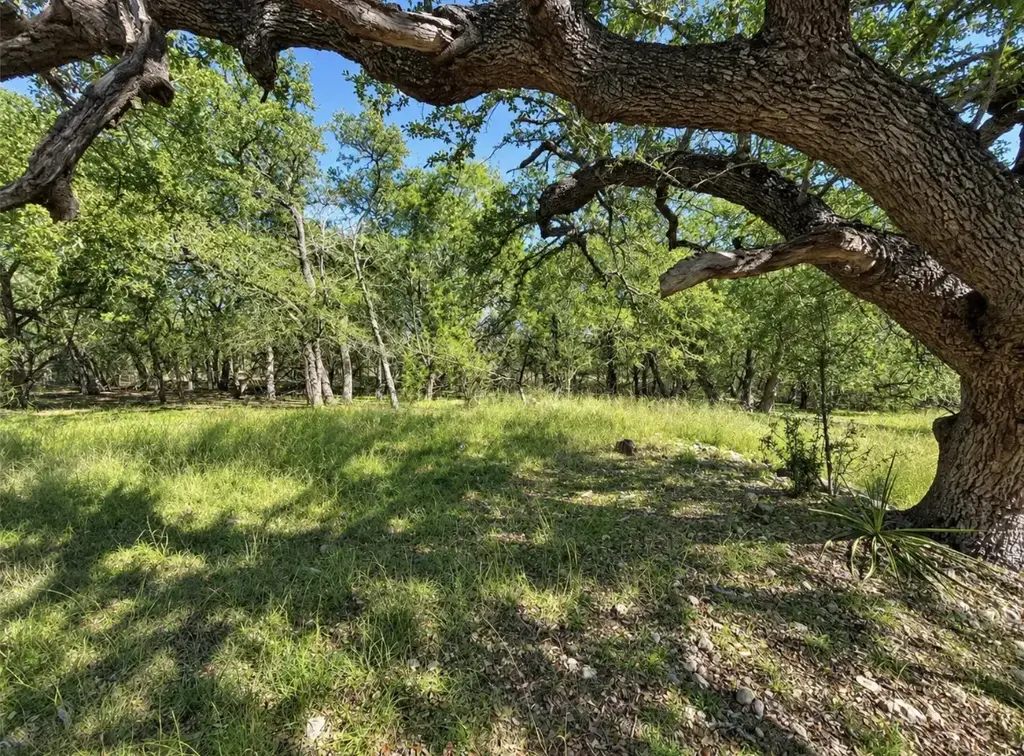 Tbd Carney Lane, Wimberley