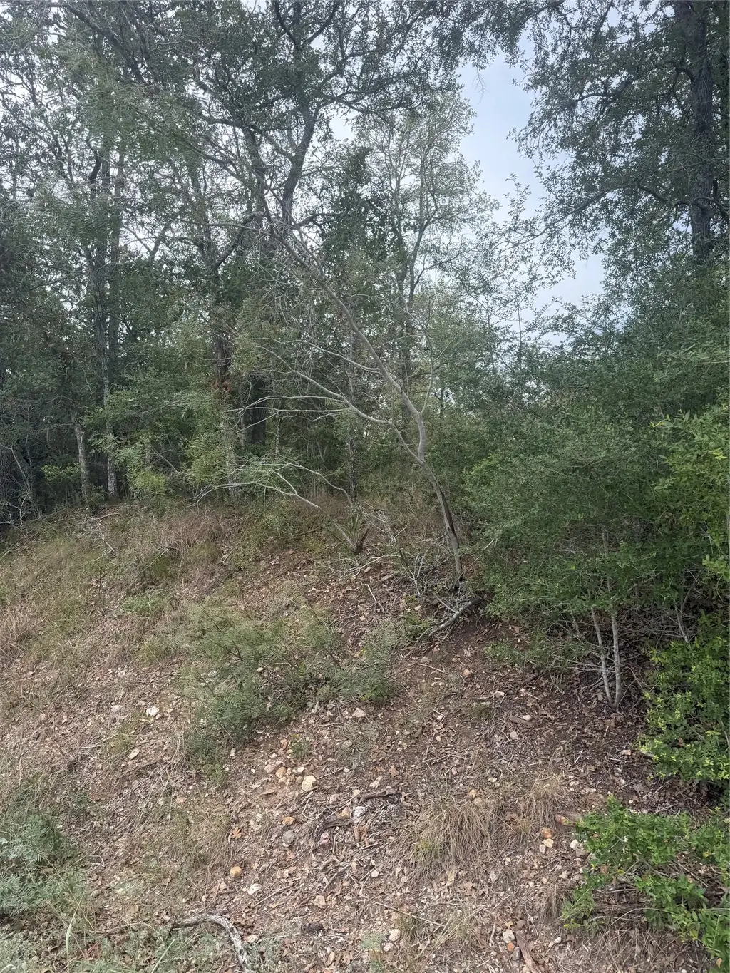 123 Mokuleia Circle, Bastrop