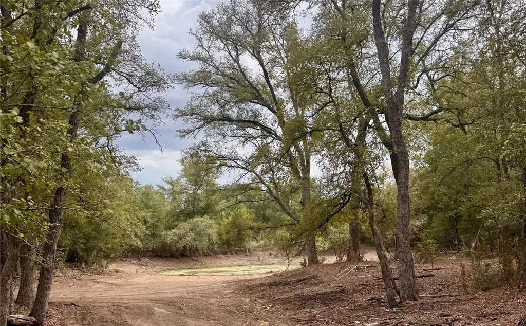 12 Acres Mt Pleasant Road, Cedar Creek