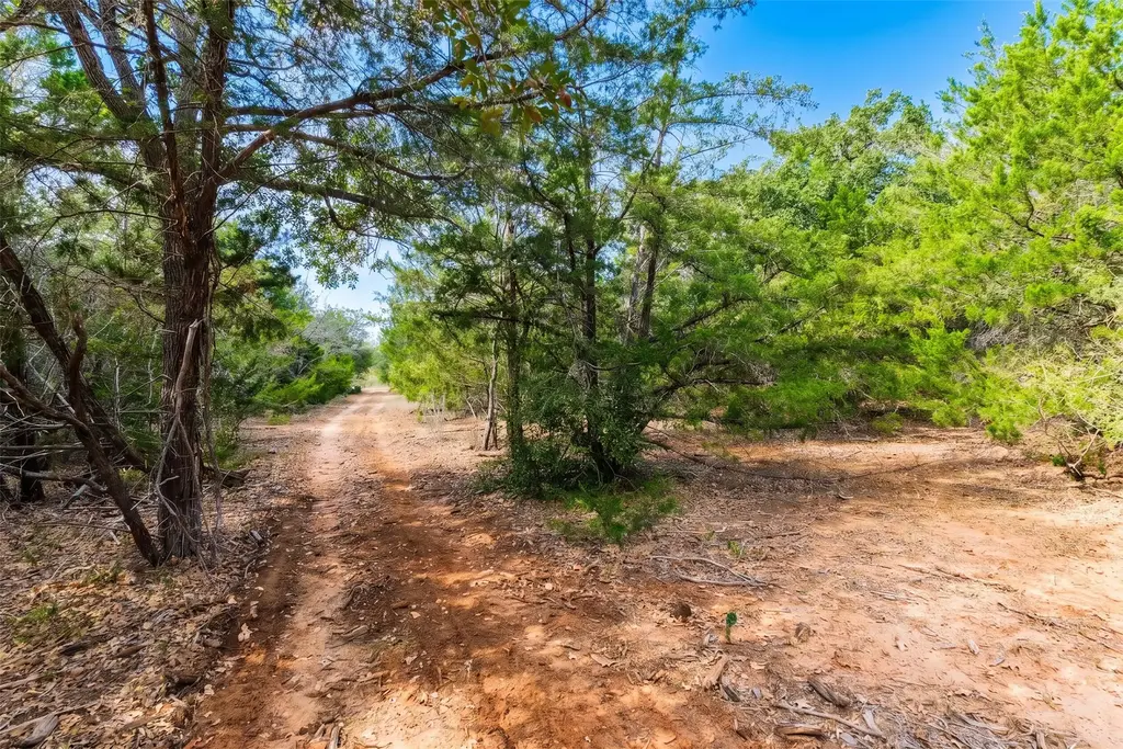 12 Acres Mt Pleasant Road, Cedar Creek