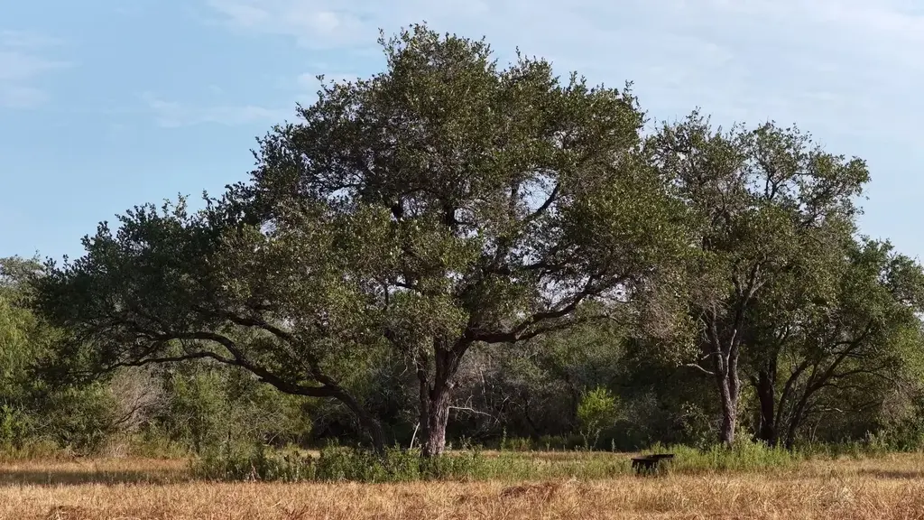 251 Old Goliad Road, Refugio