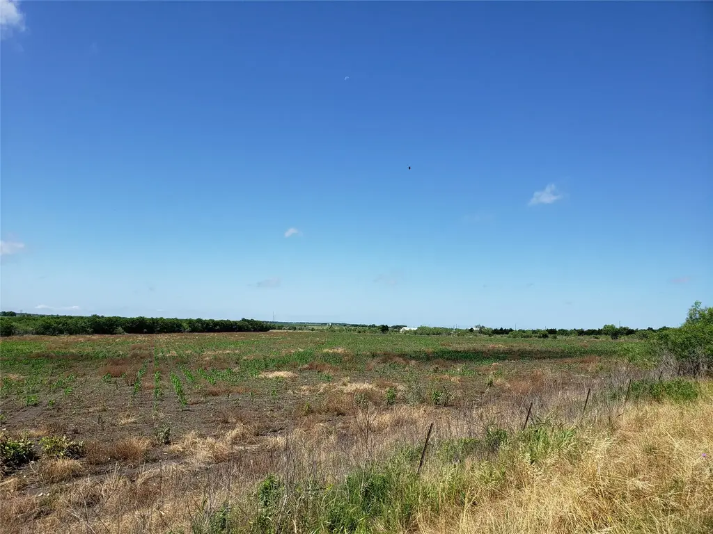 6015 Fm-1327, Buda