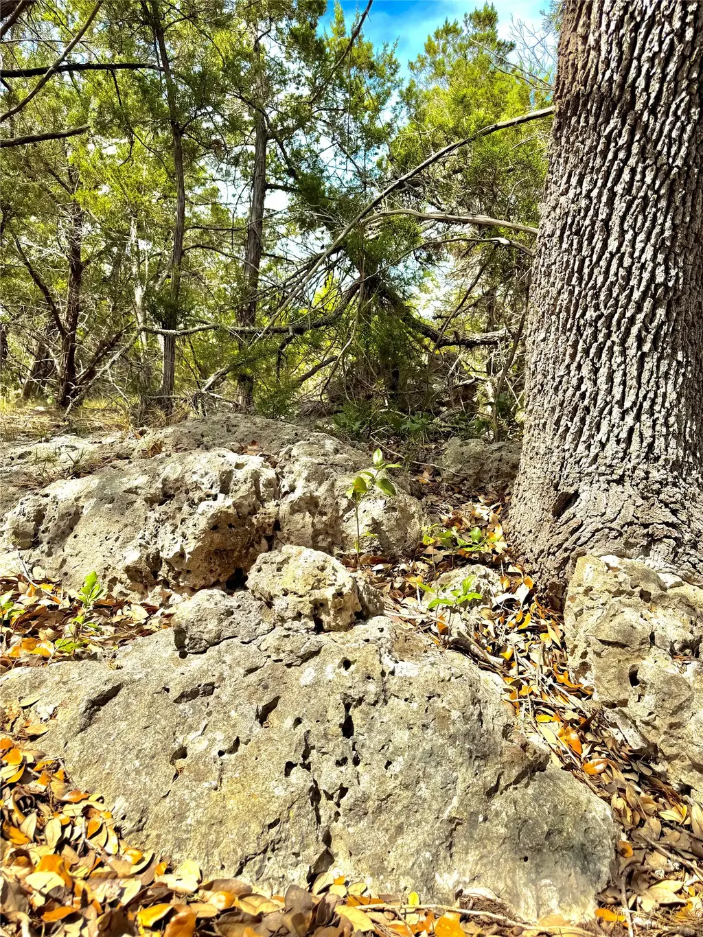 2519 George Pass, Canyon Lake