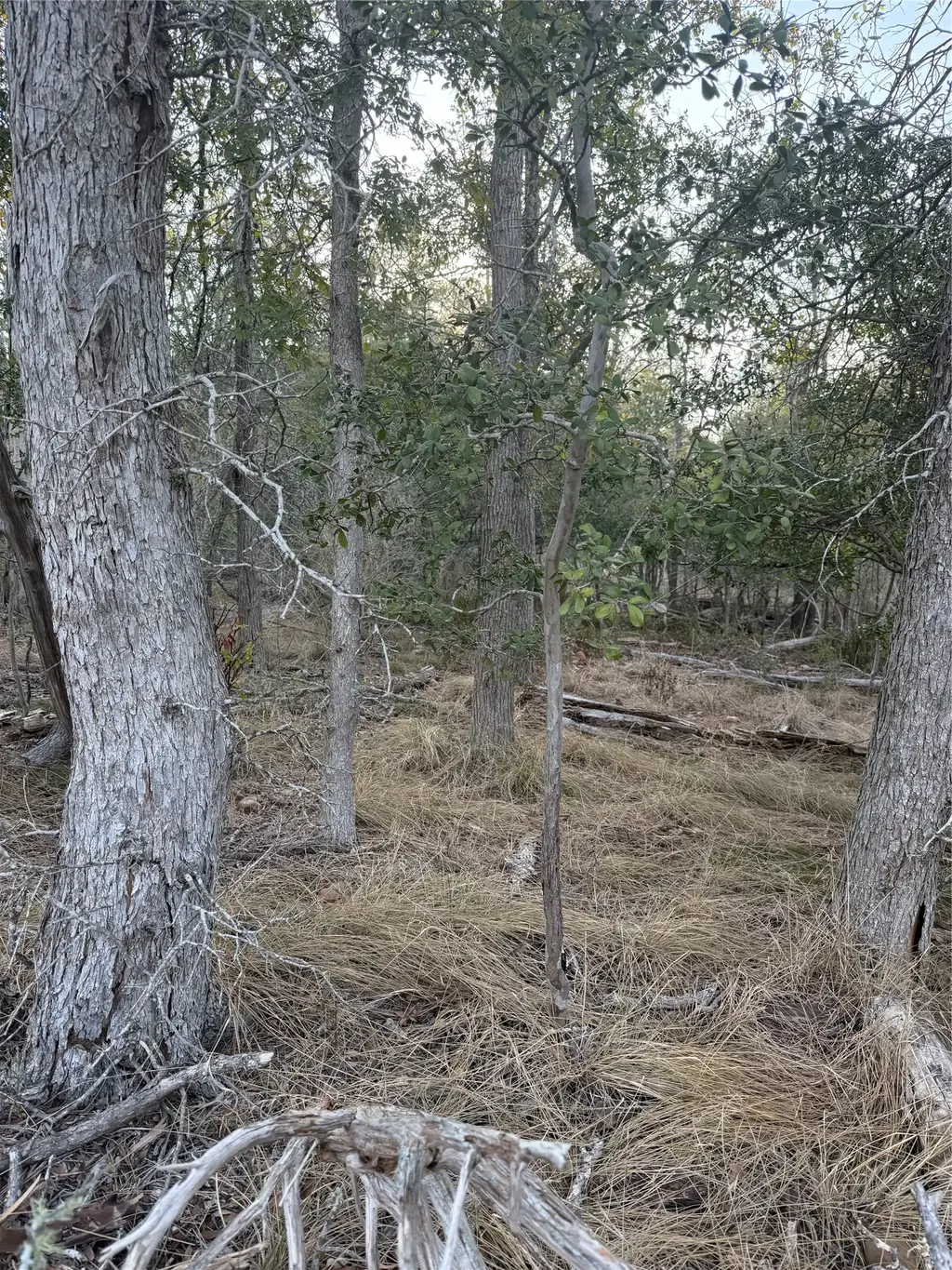 159 Helemano Drive, Bastrop