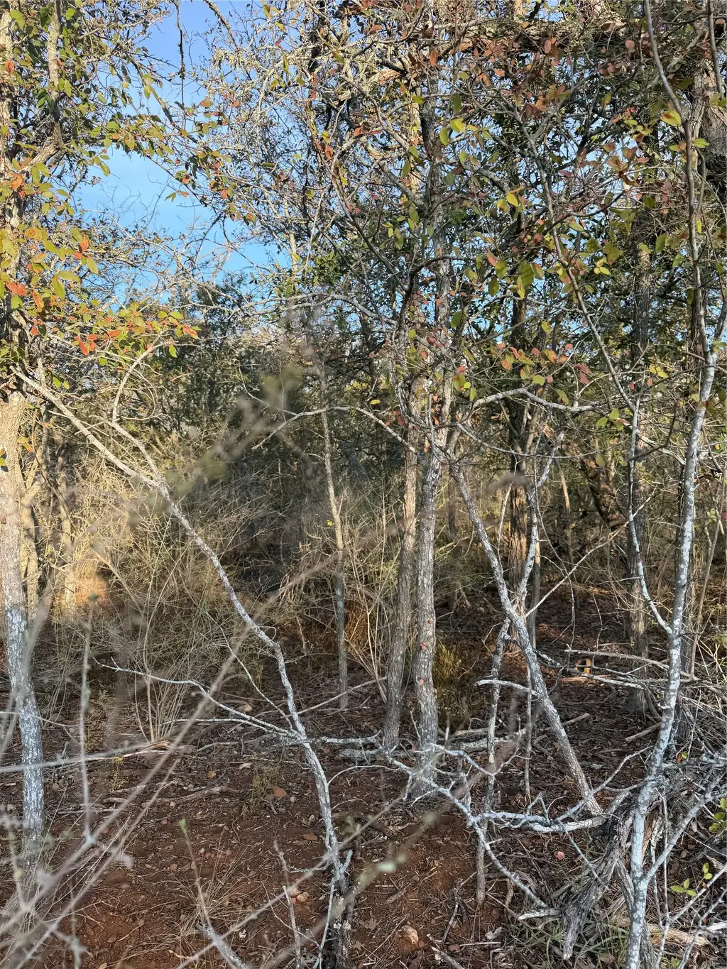156 Helemano Drive, Bastrop