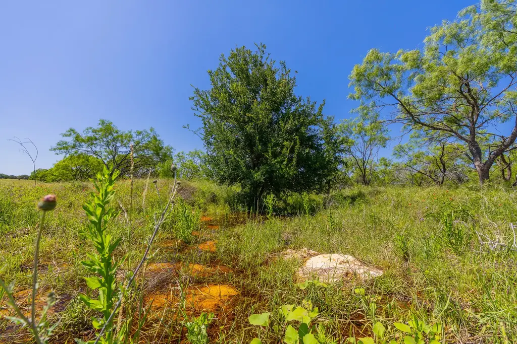 Tbd Hidden Pond Ranch County Road 180 Road, Purmela