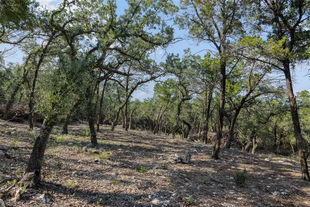 601 Mount Olive School Road, Wimberley