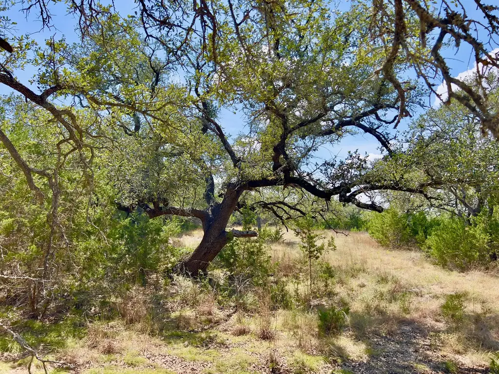 992 Hines Branch Road, Blanco
