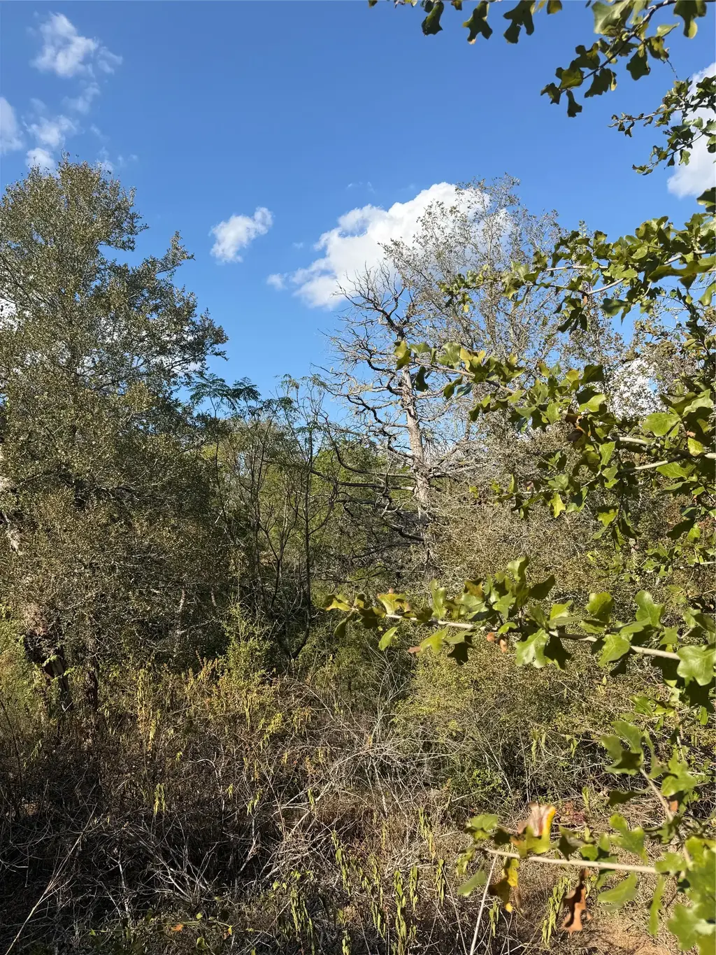 Lot 539 Palikea Circle, Bastrop