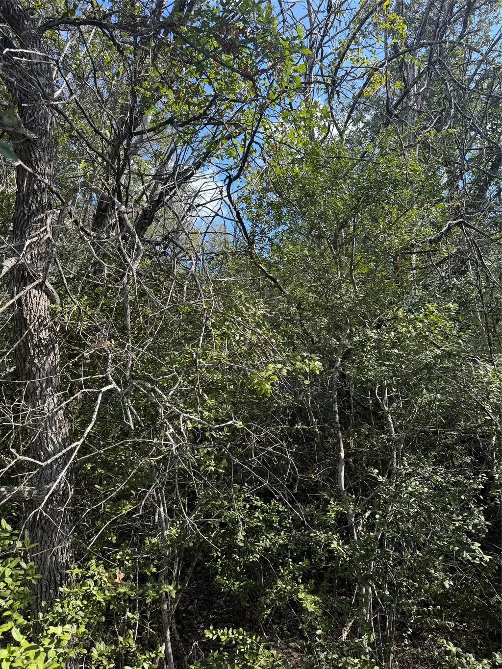 251 Iva Lane, Bastrop