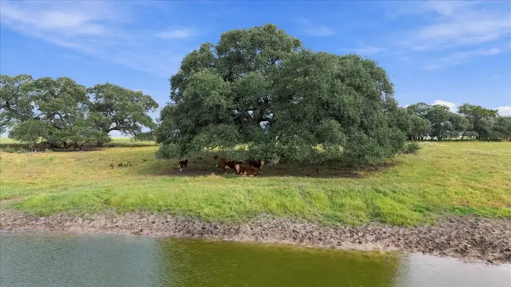 2561 Roitsch Road, Schulenburg