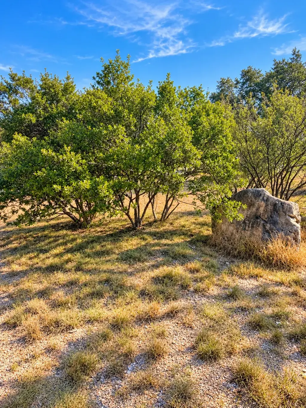 1701 Fox Foot, Horseshoe Bay