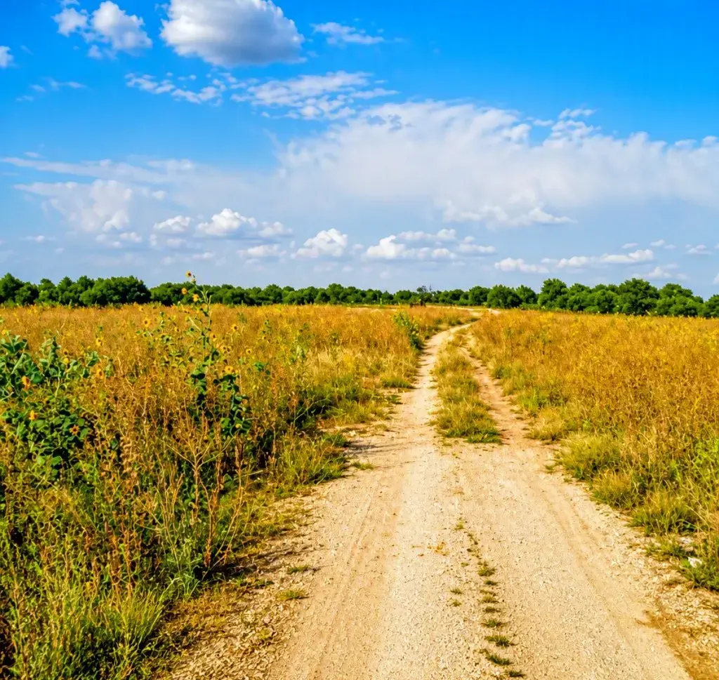 12230 Highway183 Highway, Florence