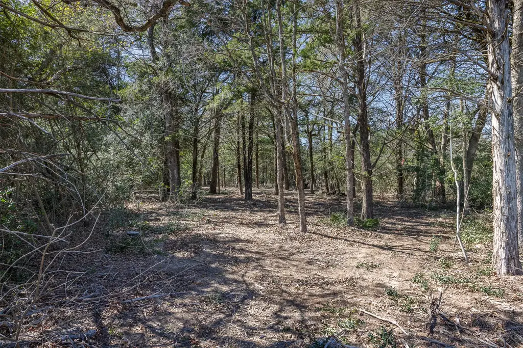 4.81 Ac Pauline Lane, Caldwell