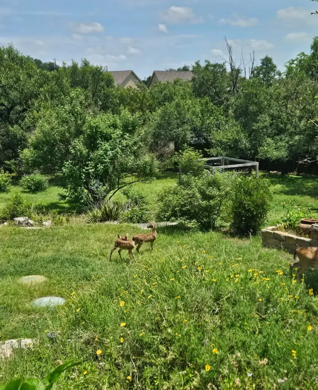 10210 Twin Lake Loop, Dripping Springs