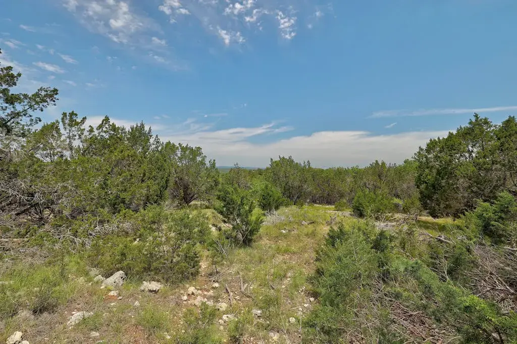 Tbd Windy Hills Road, Dripping Springs