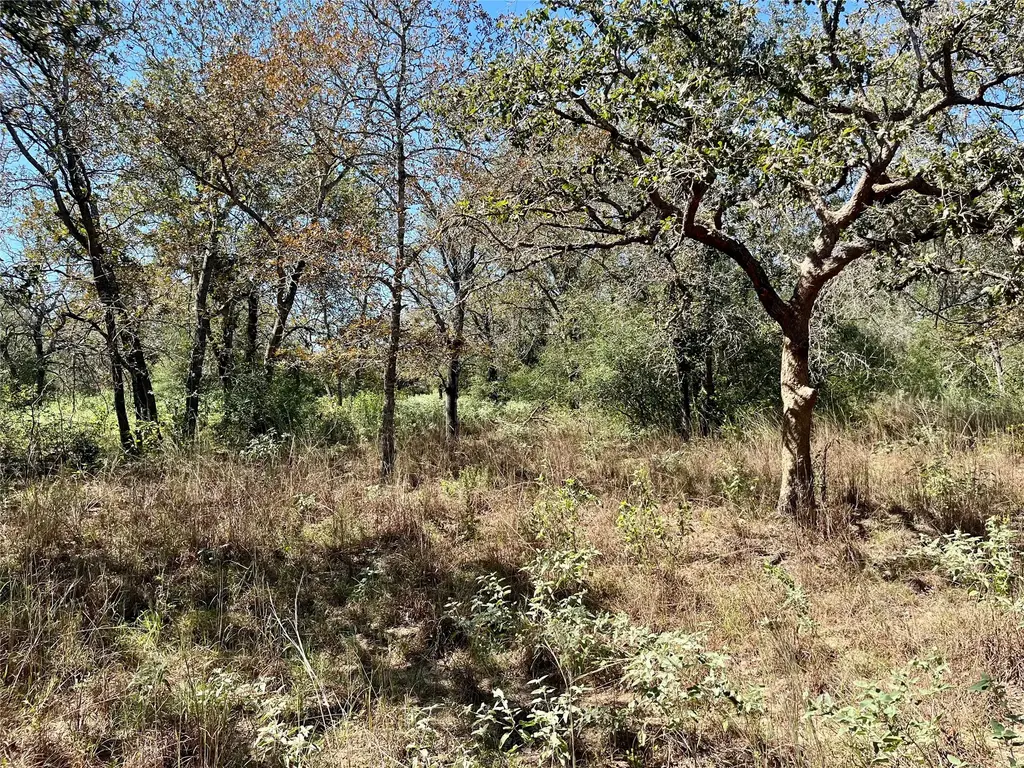 Tbd Flash Circle, Luling