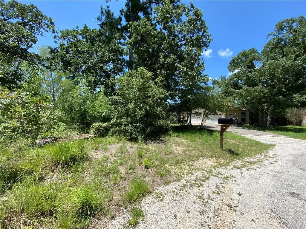 Lot 1734 N Kanaio Dr Drive, Bastrop