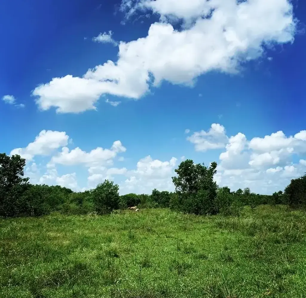 Fm 1462 Road, West Columbia