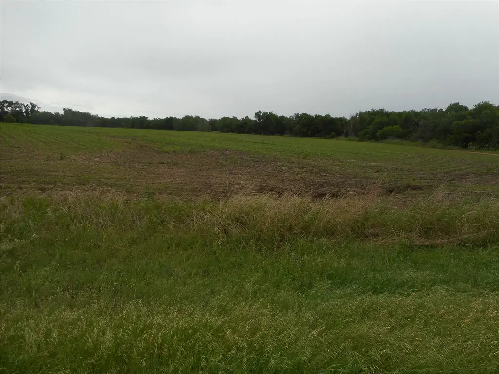 Tbd N Fm 619 Rd, Taylor