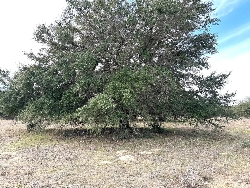000a Buck Branch Rd, Waelder
