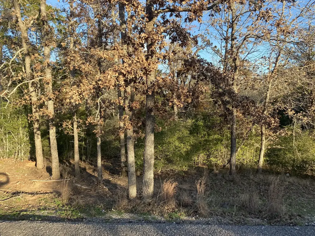 0 N Pohakea Dr, Bastrop