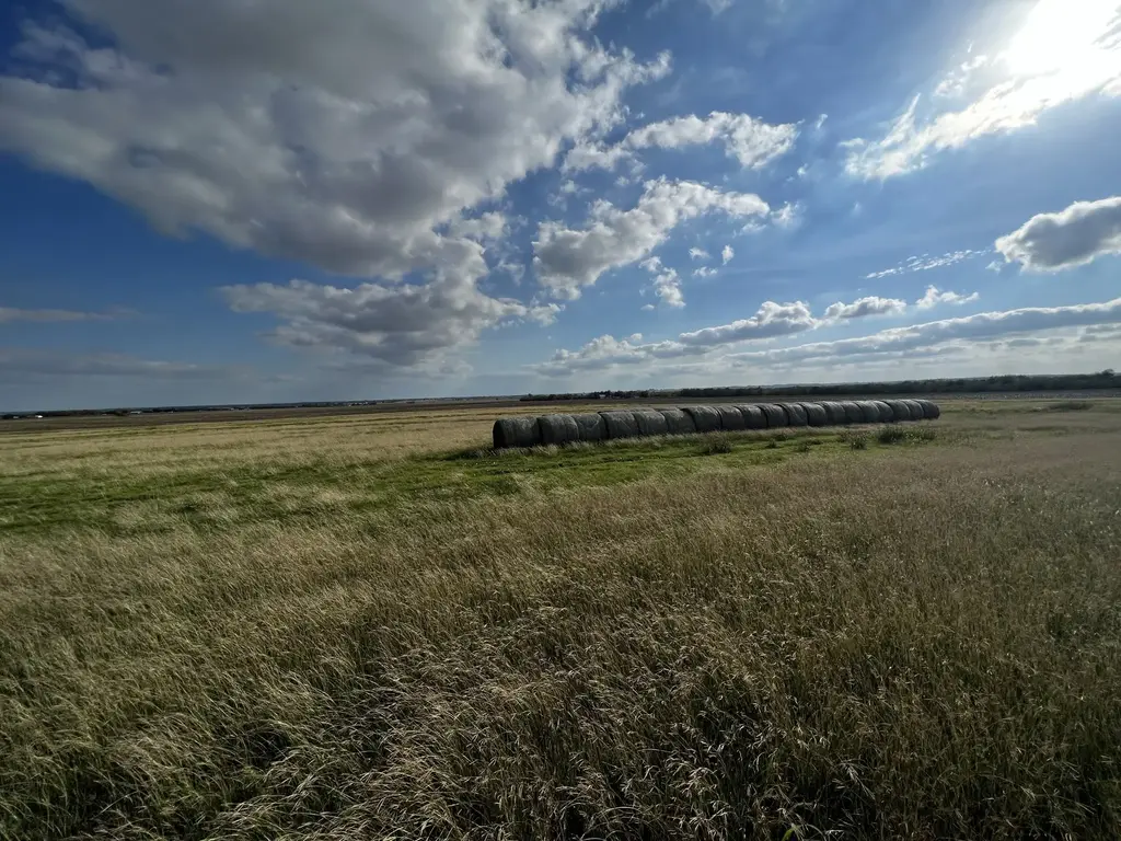 1438 County Road 438, Thorndale