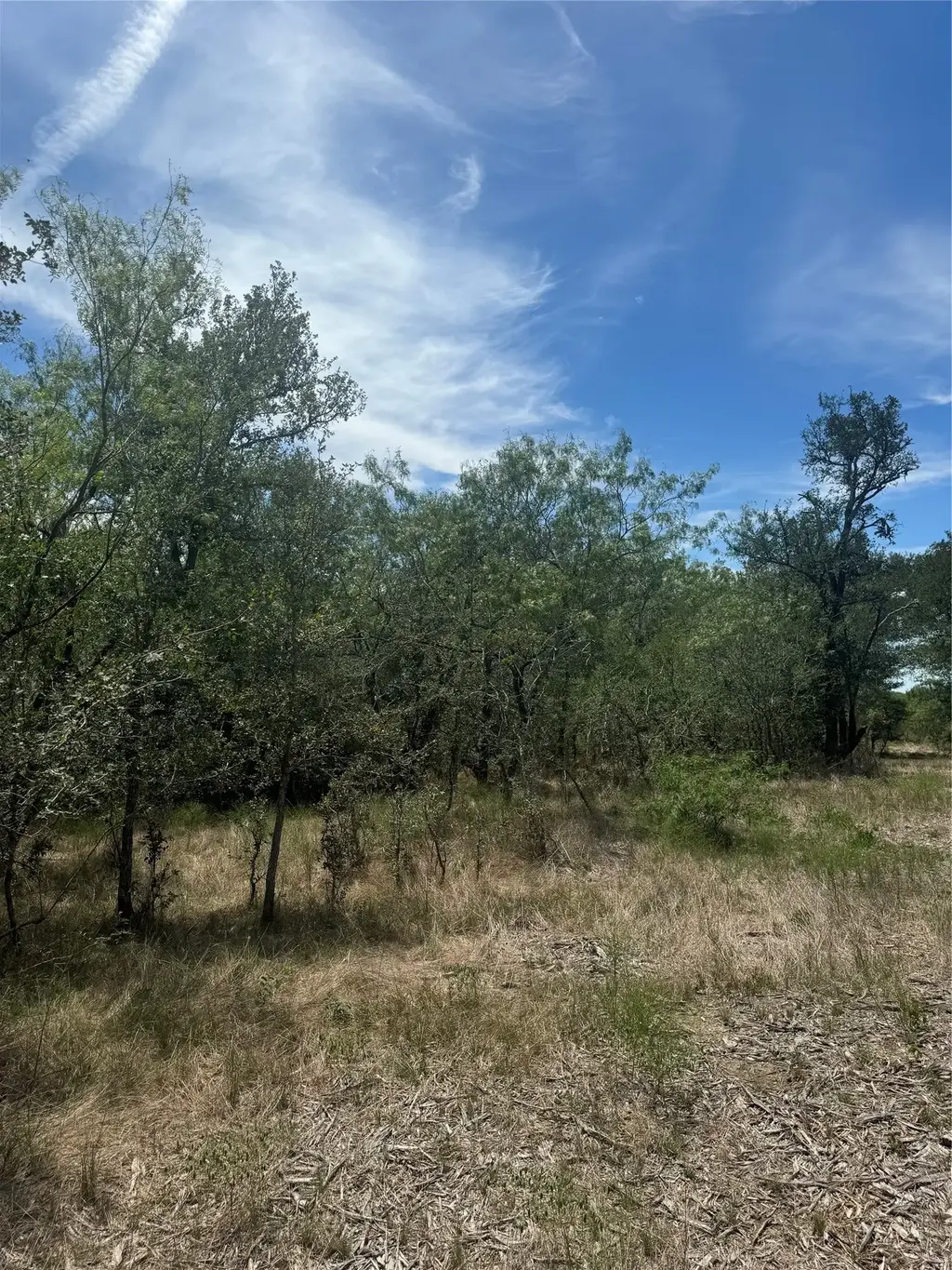 120 Baylen Clifton Ln, Lockhart