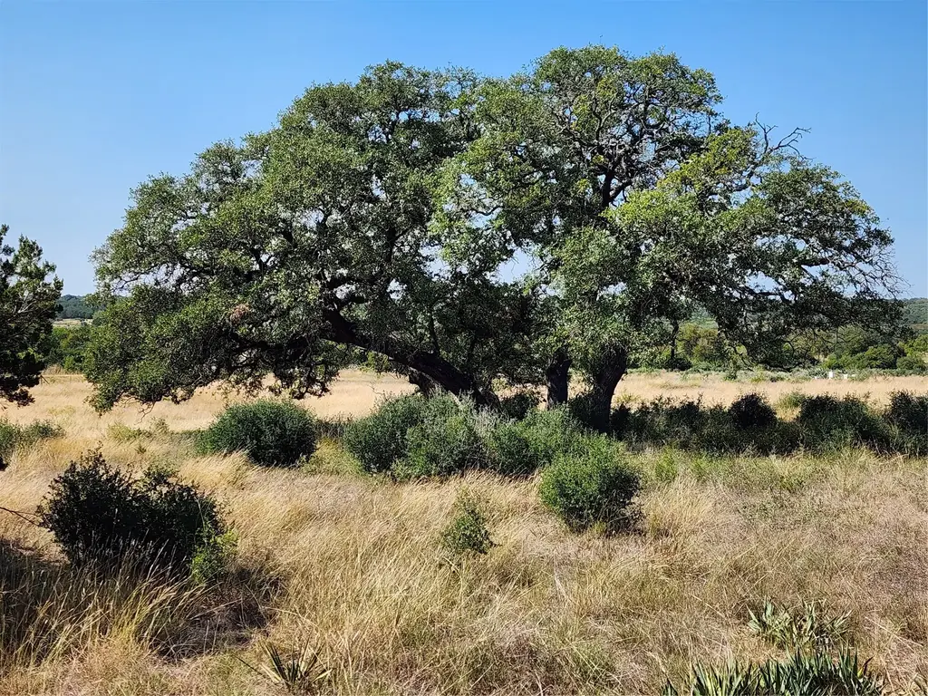 13586 Crows Ranch Rd, Salado