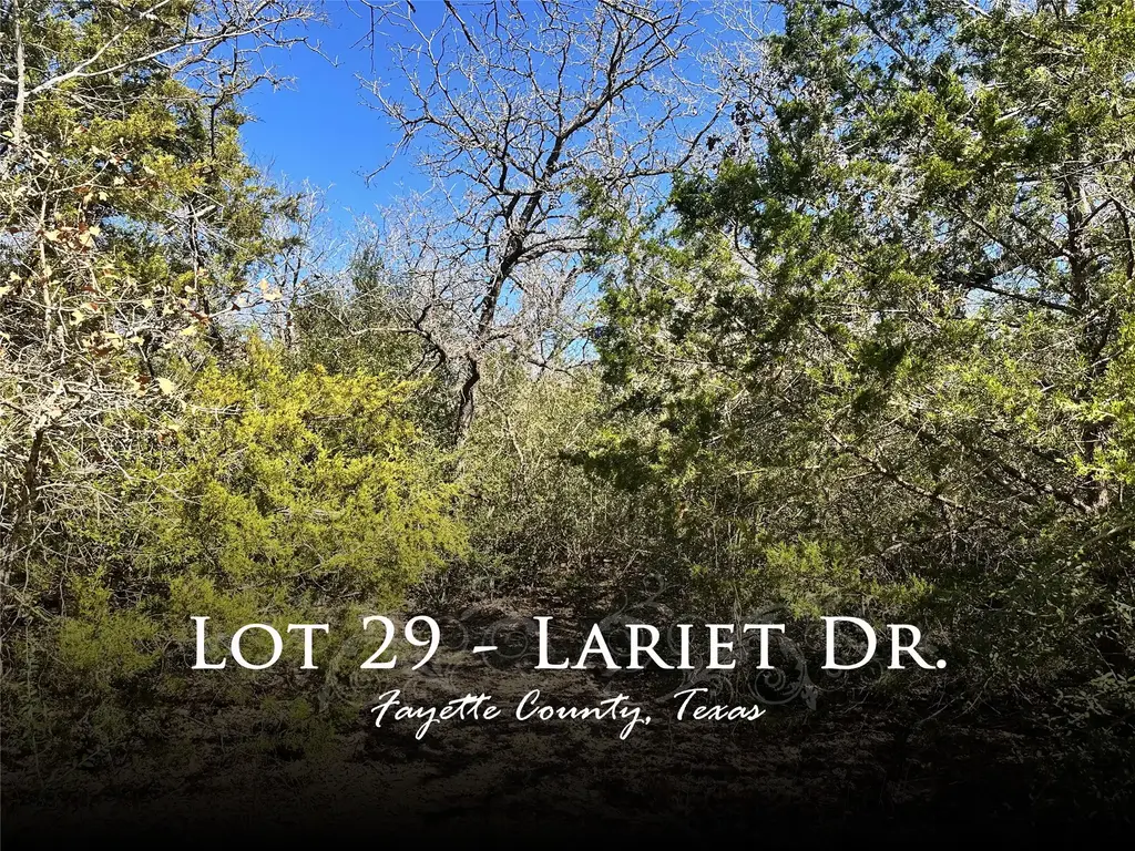 0 Lariet Dr, Waelder