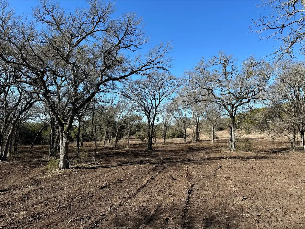 Tract 1 Fm 2955, Gatesville