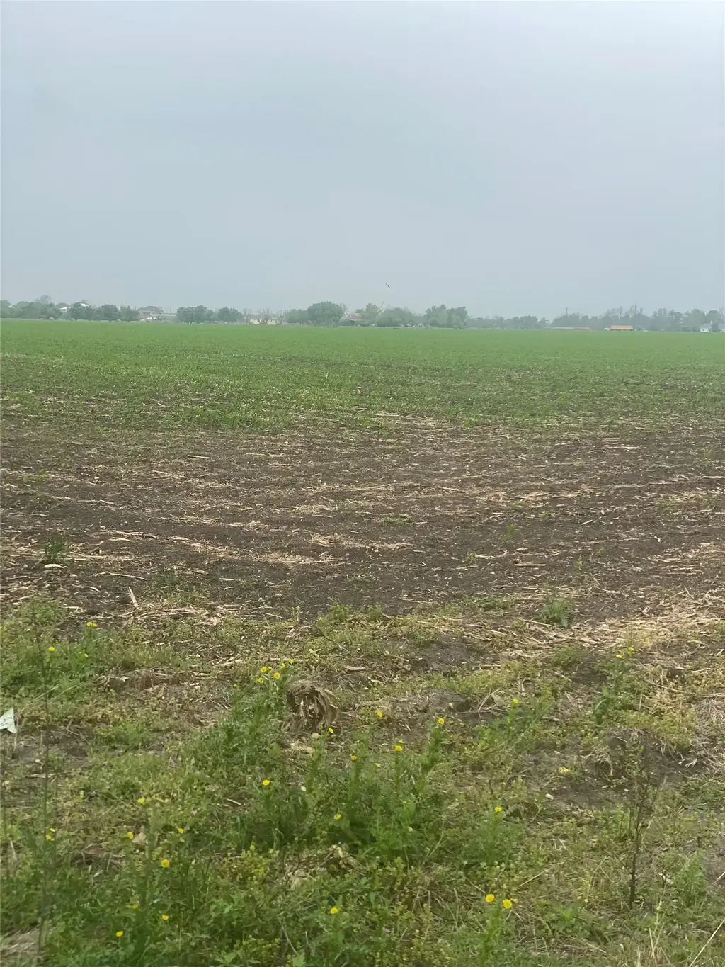 3250 Fm 1331 & County Road 415, Taylor