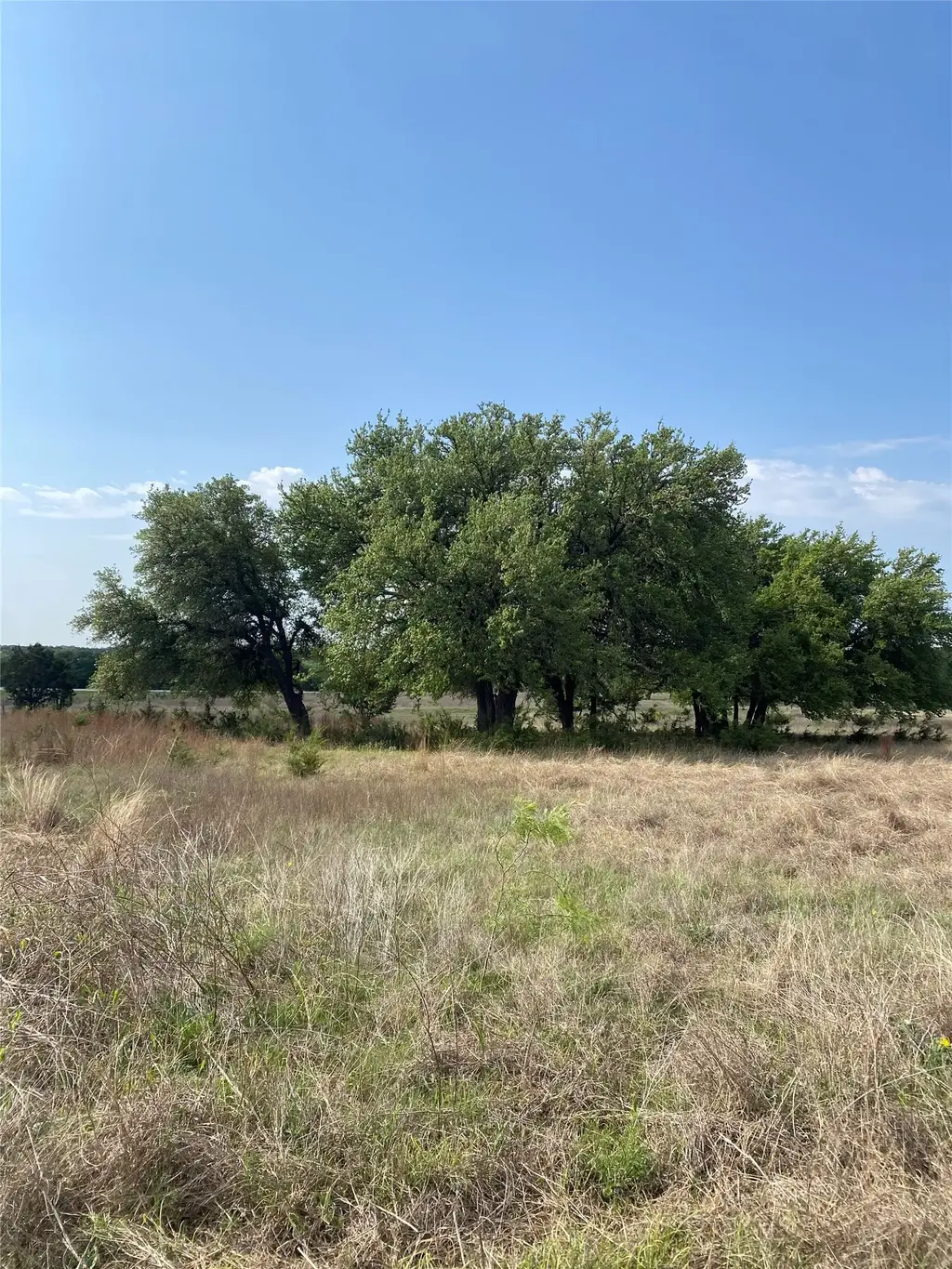 185 County Road 2227, Lampasas