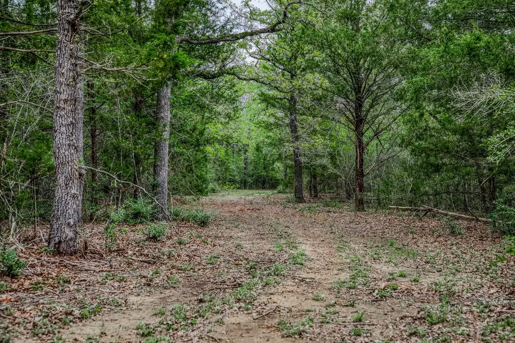 Tbd (349.84 Acres) County Road 125, Ledbetter