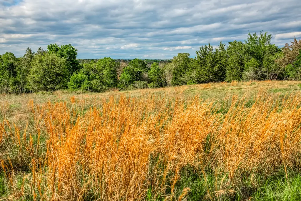Tbd (56.135 Acres) County Road 125, Ledbetter