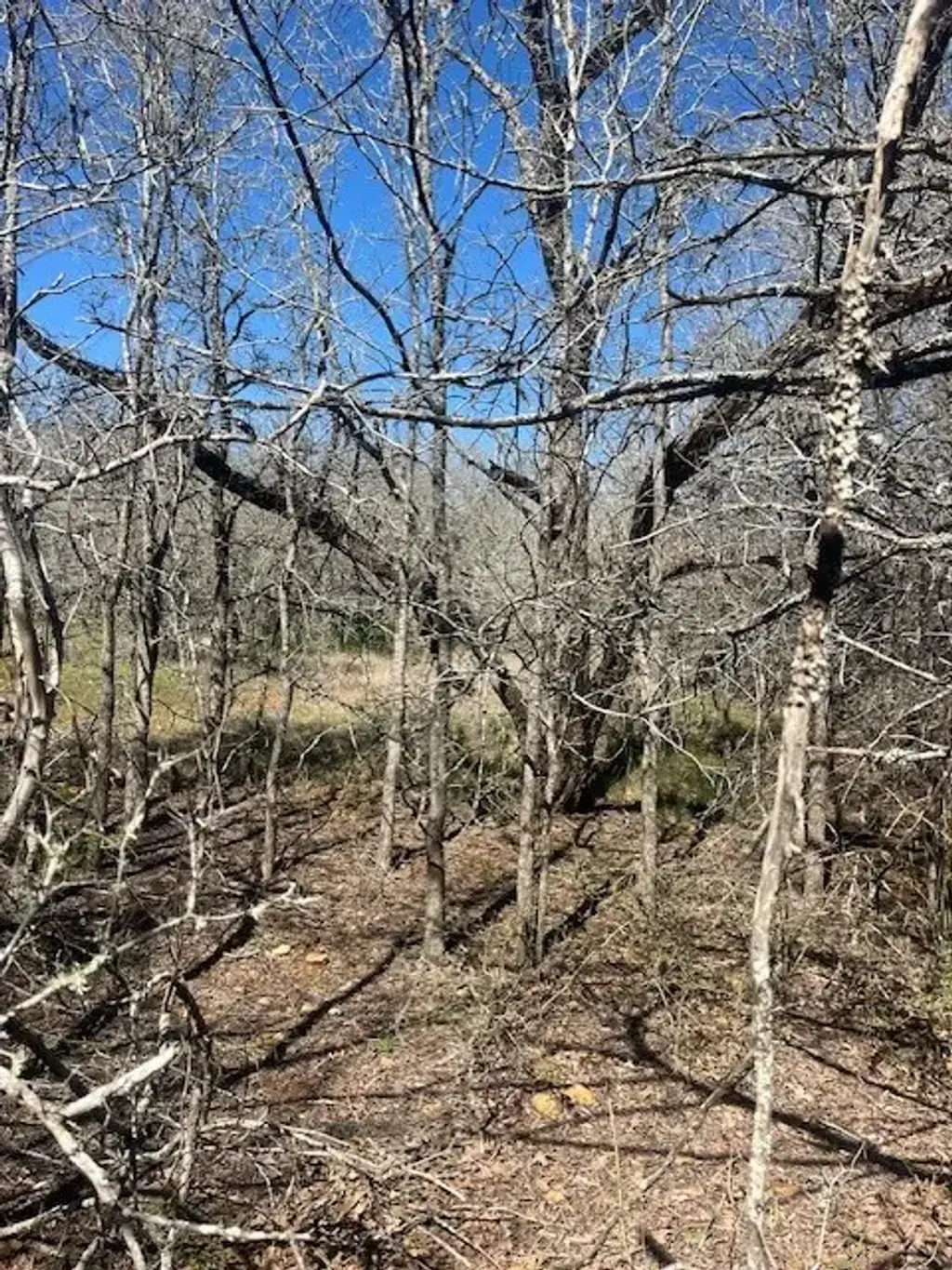 140 Heleakala Dr, Bastrop